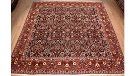 Perserteppich Bidjar Quadratischer Teppich 310x302cm