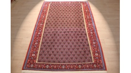 Perserteppich "Seneh" Wollteppich 302x202 cm