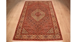 Perserteppich Sanjan Orient Teppich 219x142 cm