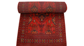 afghanischer_laufer__1