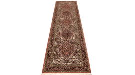 bidjar_laufer_1_1960652543