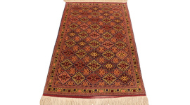 img_8204-photoroom_33435292