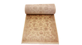 persischer_laufer__10