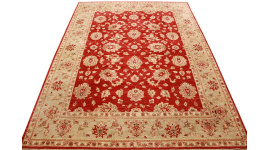 ziegler_rot_1_2106596835