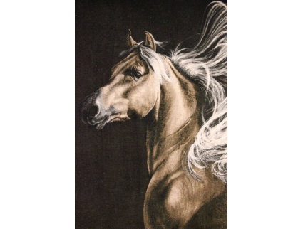 Perserteppich "Tabriz" mit Seidenkette 69x57 cm Bilderteppich