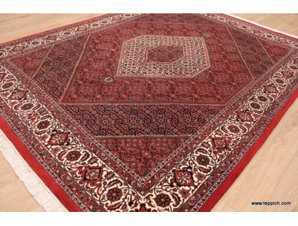 Perserteppich "Bijar" Hochflor Orient Teppich 266x200cm