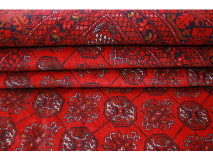 afghanische_teppiche_online_kaufen_4