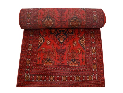 afghanischer_laufer__1