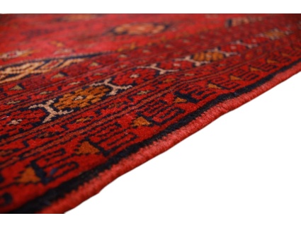 afghanischer_laufer__10