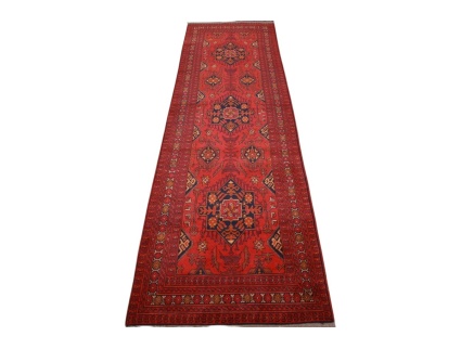 afghanischer_laufer__11