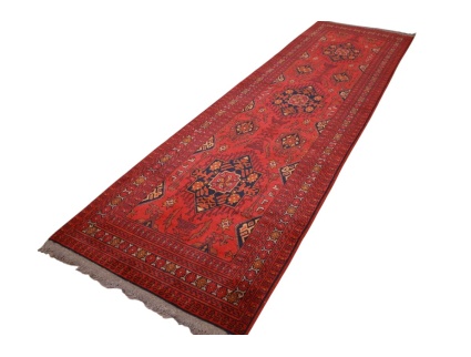 afghanischer_laufer__12