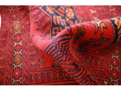 afghanischer_laufer__13