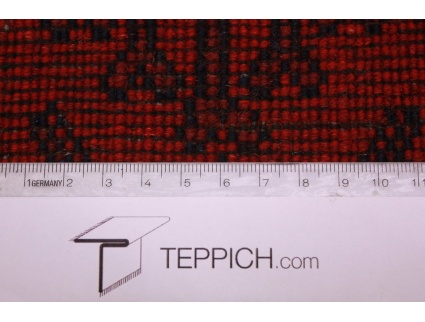 afghanischer_laufer__3