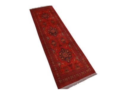 afghanischer_laufer__4