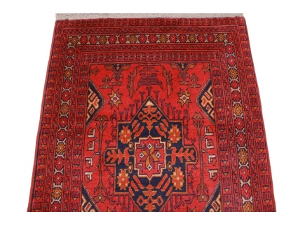 afghanischer_laufer__6