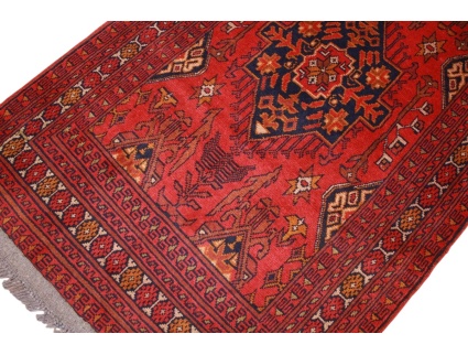 afghanischer_laufer__8