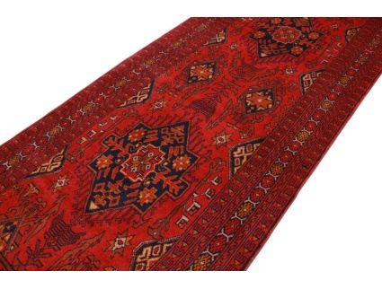 afghanischer_laufer__9