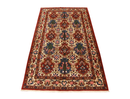 bakhtiar_teppiche_kaufen_1_1005972470