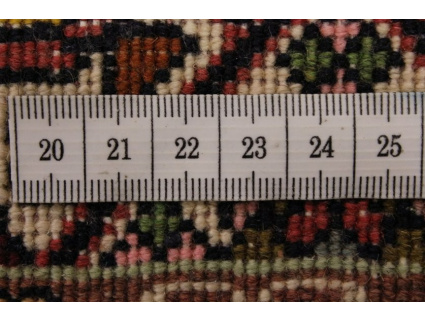 bidjar_laufer_10_1534938134