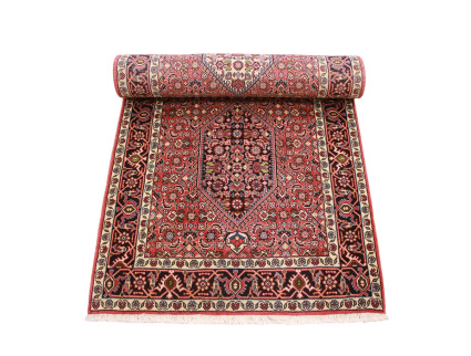 bidjar_laufer_1_626953123