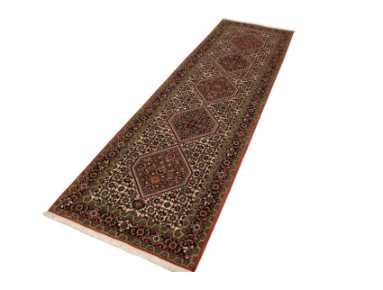 bidjar_laufer_3_1733774748