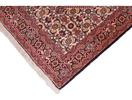 bidjar_laufer_5_520396753