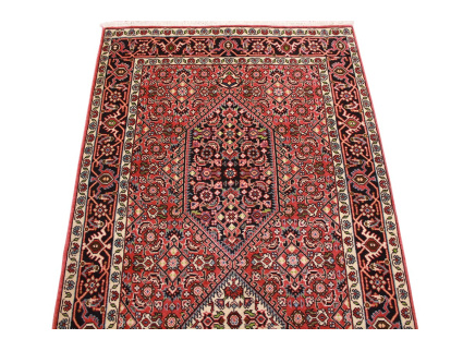 bidjar_laufer_5_832520532