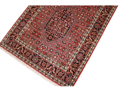 bidjar_laufer_6_1981746486