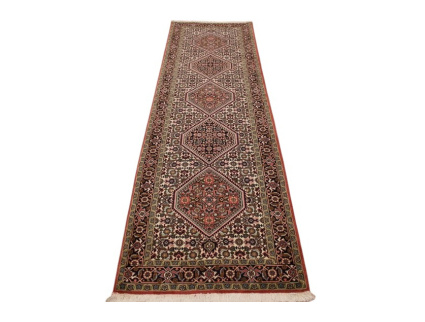 bidjar_laufer_7_126215622