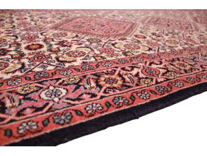 bidjar_laufer_7_1717356394