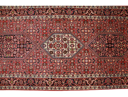 bidjar_laufer_8_1276009986