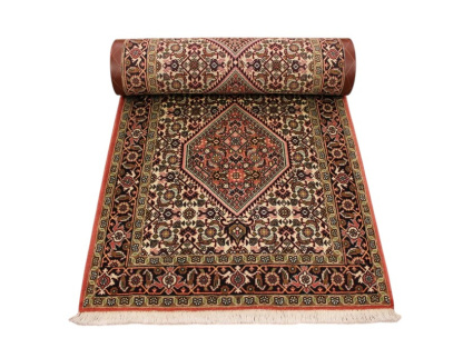 bidjar_laufer_9_1053649238