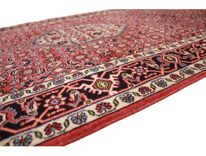 bidjar_laufer_9_1310450992