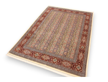 img_5681-photoroom_455567866