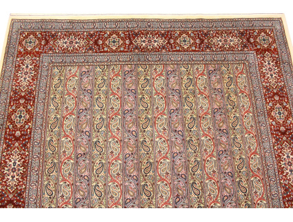 img_5682-photoroom_839326932