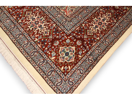 img_5684-photoroom_1780812706