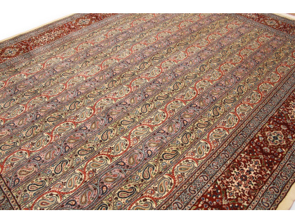 img_5686-photoroom_150528006