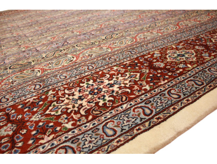 img_5687-photoroom_737051530