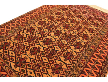 img_8600-photoroom_1391222115