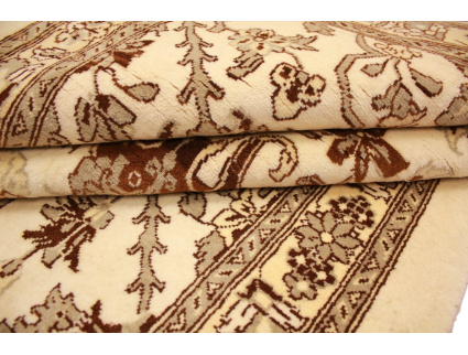 laufer_waramin_10_1726211606