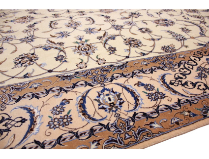 nain_6la_beige_9_2022625484