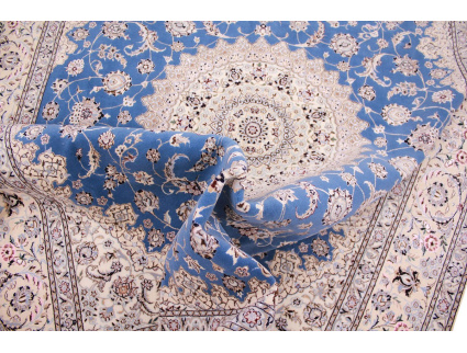 nain_6la_habibian_blau_8