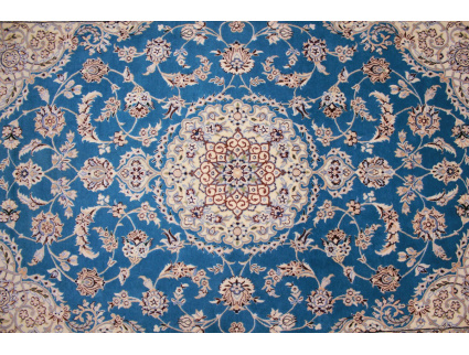 nain_6la_habibian_blau_9_925290020