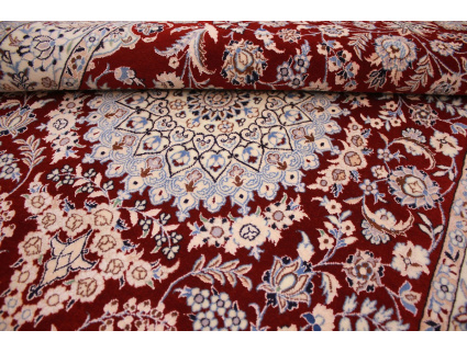 nain_6la_habibian_rot_10