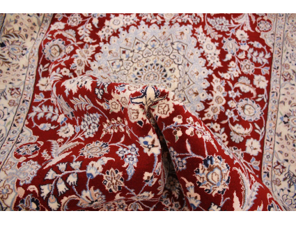 nain_6la_habibian_rot_11