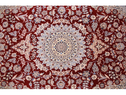 nain_6la_habibian_rot_6