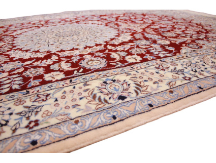 nain_6la_habibian_rot_7