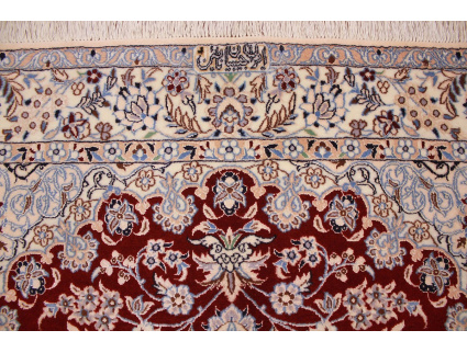 nain_6la_habibian_rot_8