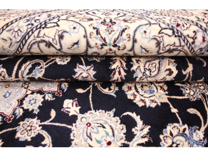 nain_habibian_blau_11