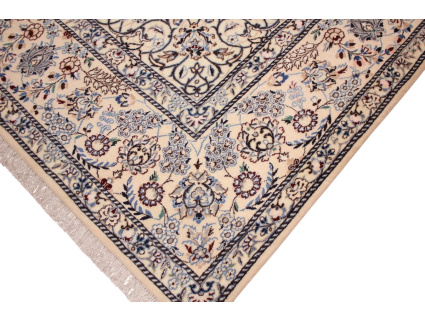 nain_habibian_blau_5